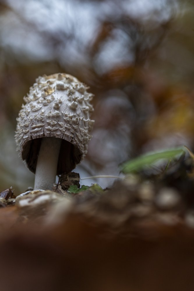 Photograph by Stelios Ntemogiannis