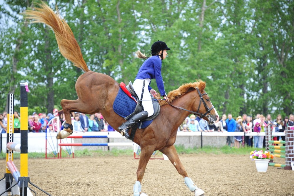 Фотография автора Старостин Дмитрий