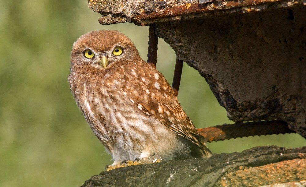 Photograph by Александр