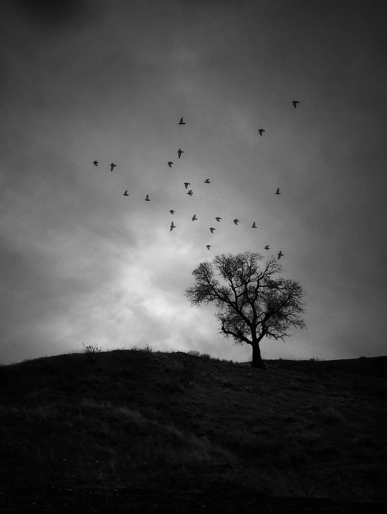 Photograph by Khosro Sayadi