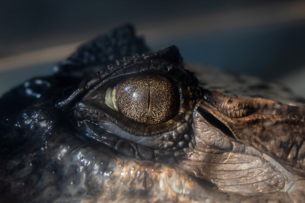 Photograph by Алина Логвиненко