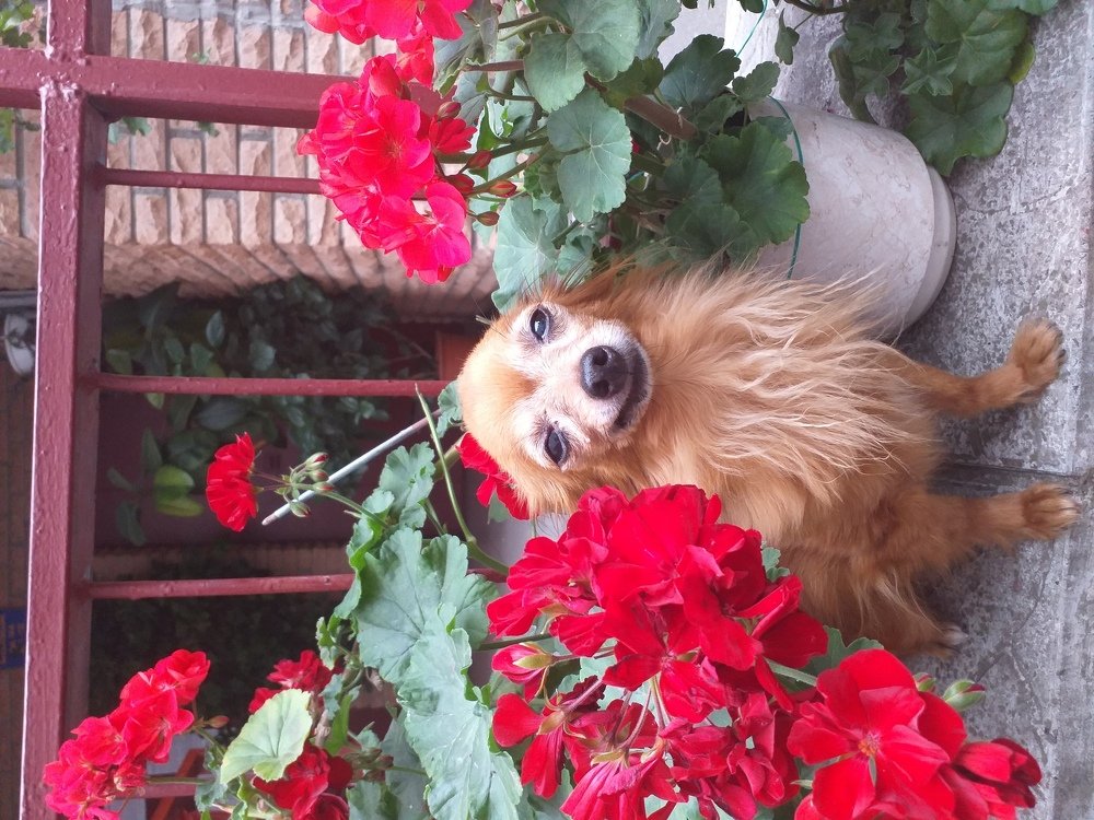 Photo #5408982