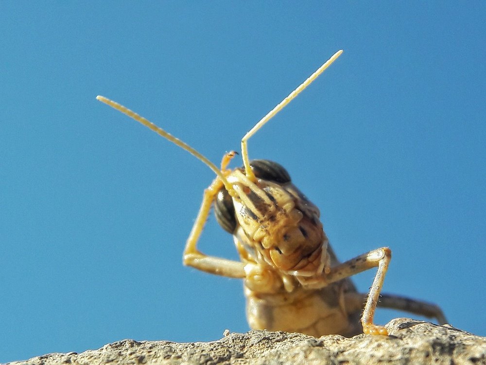 Photograph by Khosro Sayadi