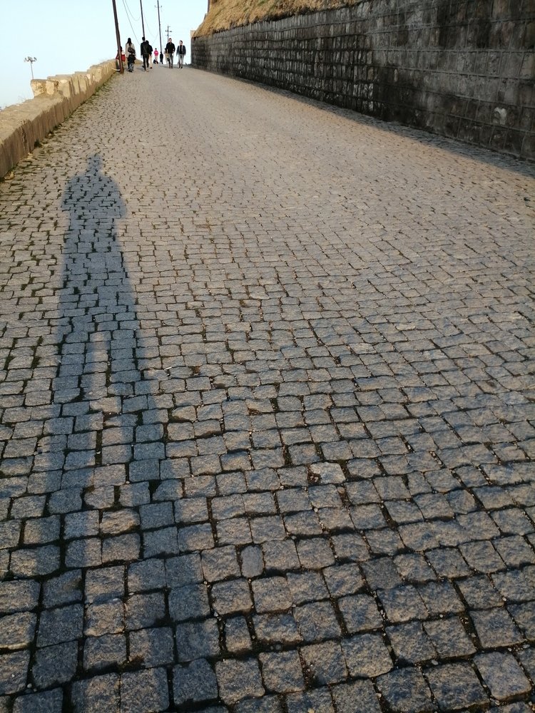 Фотография автора Bahaaddin Saber