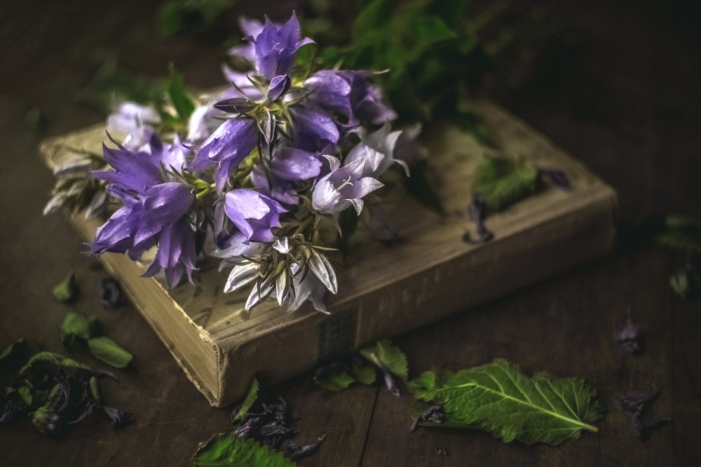 Photograph by Рут Андрей