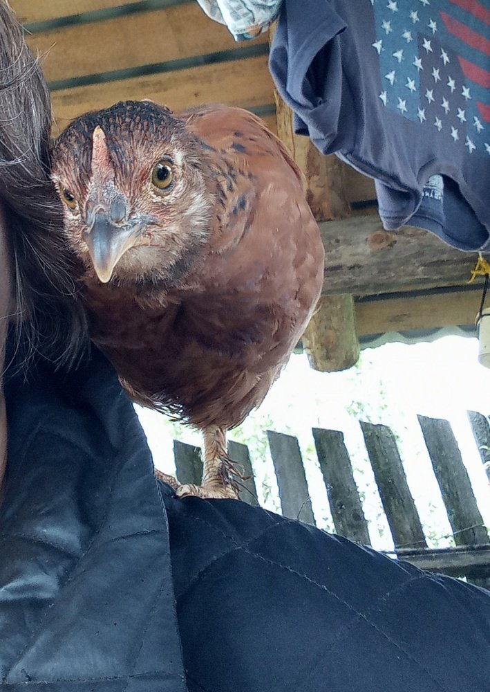 Photograph by Любовь Шаврина