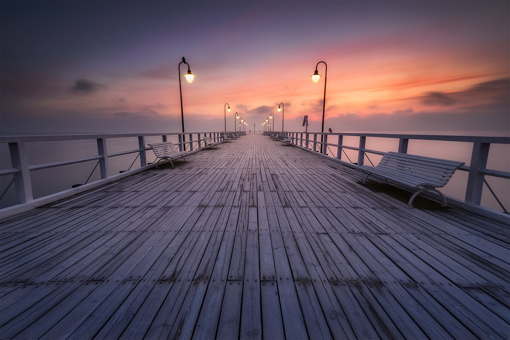 Photograph by Patryk Janota