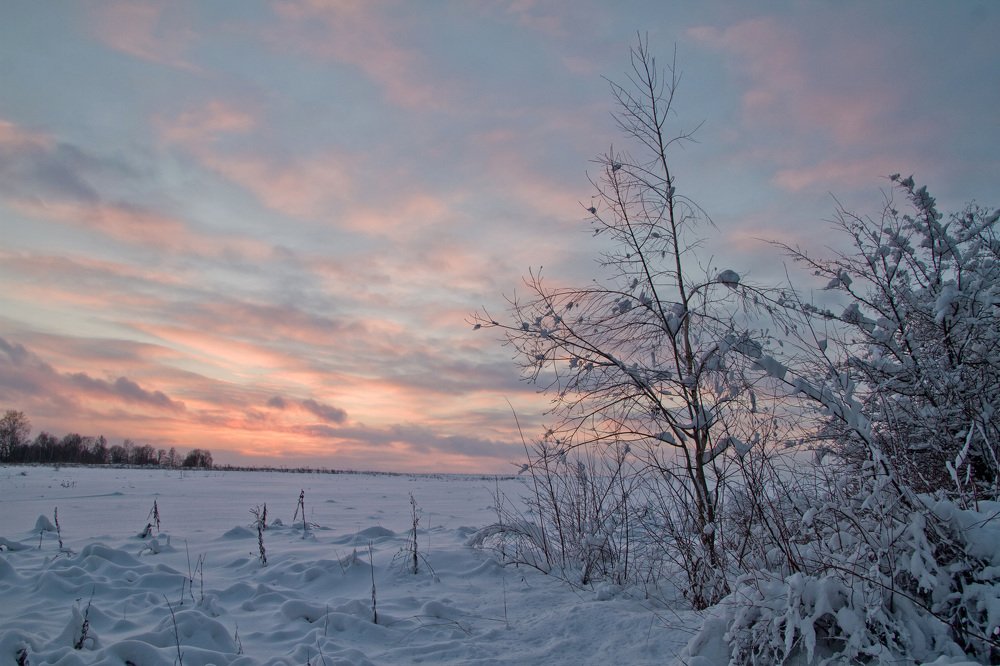 Photograph by Alexey Belov