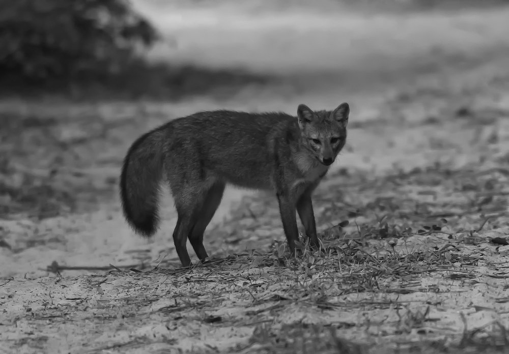 Photograph by Edilene Guerra