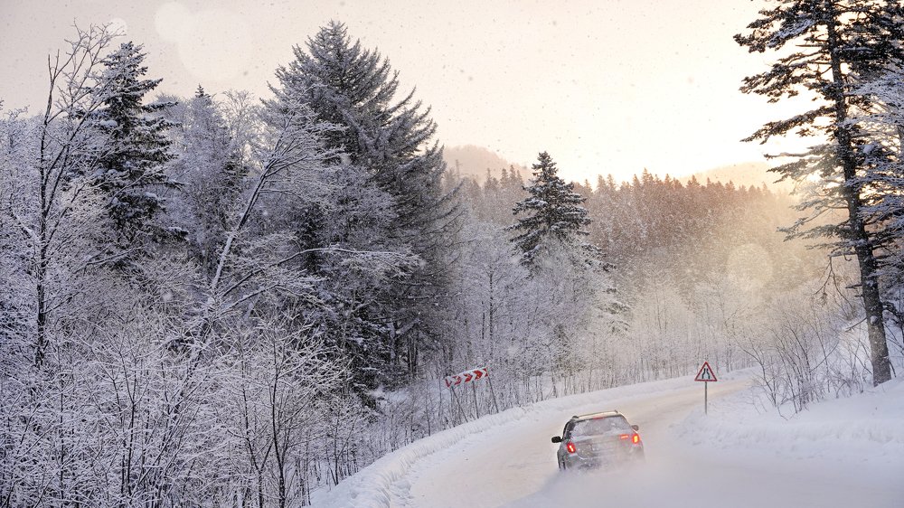 Photograph by Андрей Щербинин