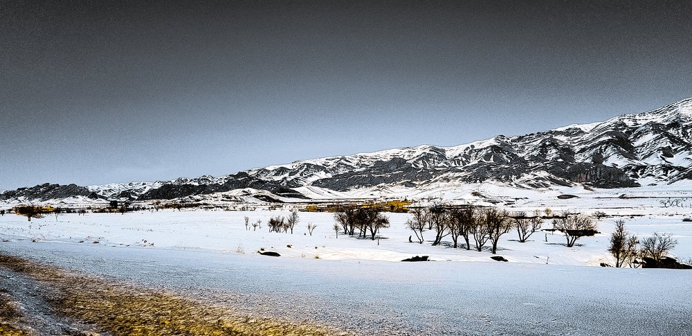 Фотография автора Nima Nezafat Yazdi