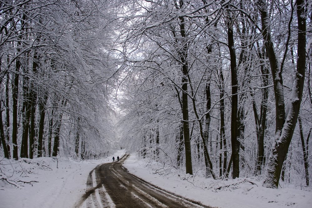 Photograph by Олесь