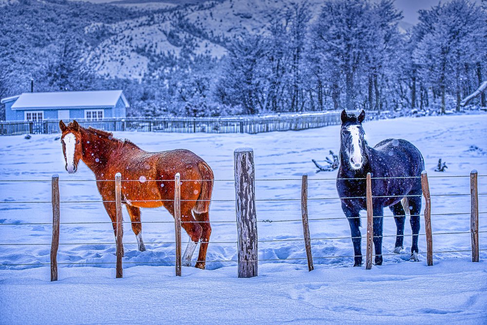 Photograph by Sebastian Vitanza