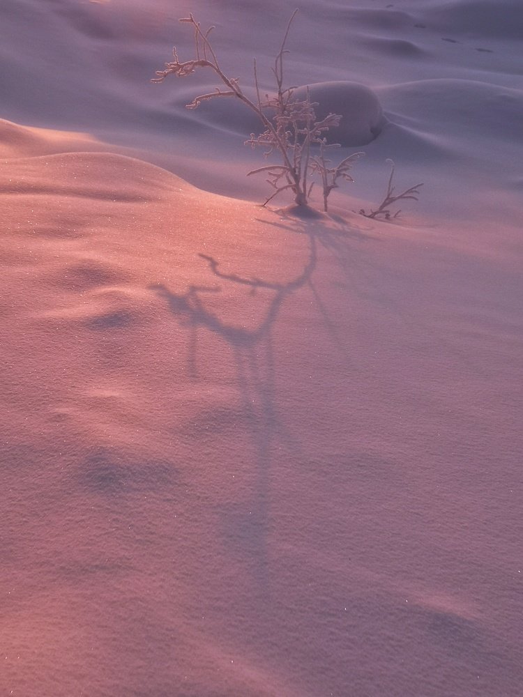 Photograph by Денис Саперов