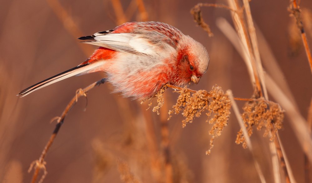 Photograph by Владимир Харук