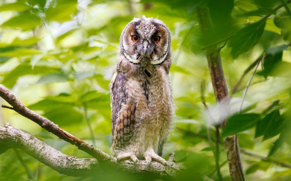 Photograph by Владимир Харук