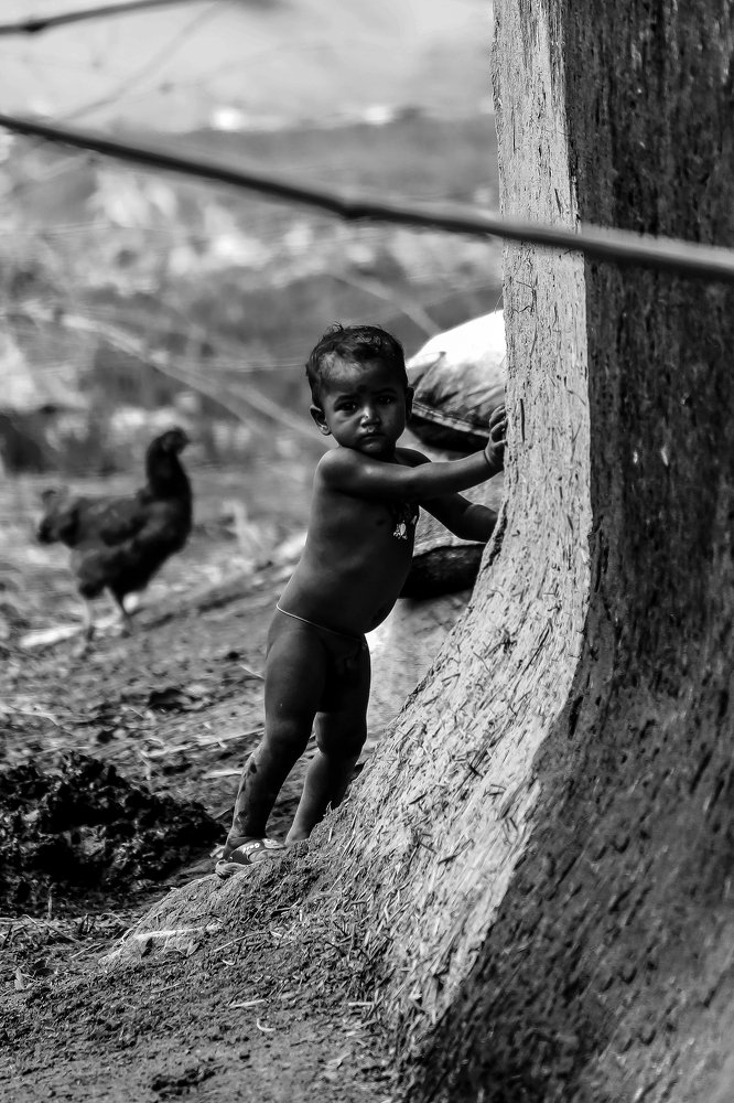 Photograph by Shovan Sam