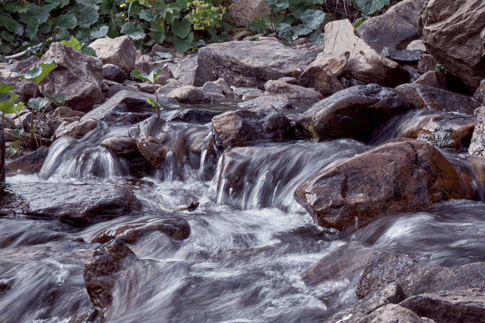 Photograph by Василий Дворецкий