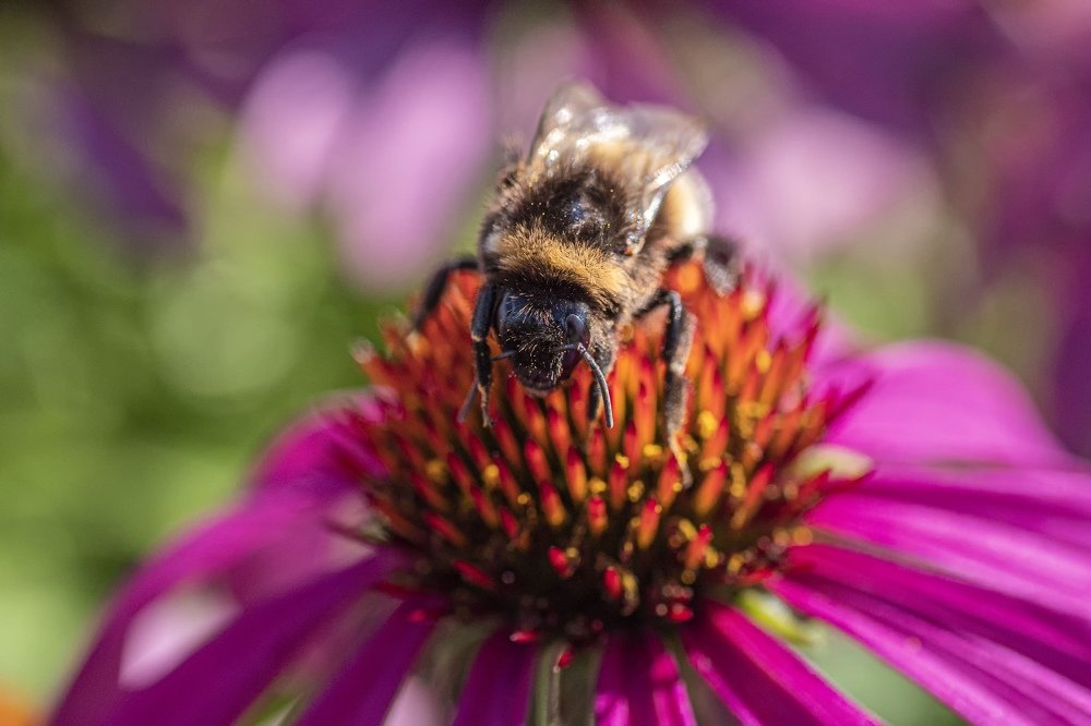 Photograph by Андрей Ныриков