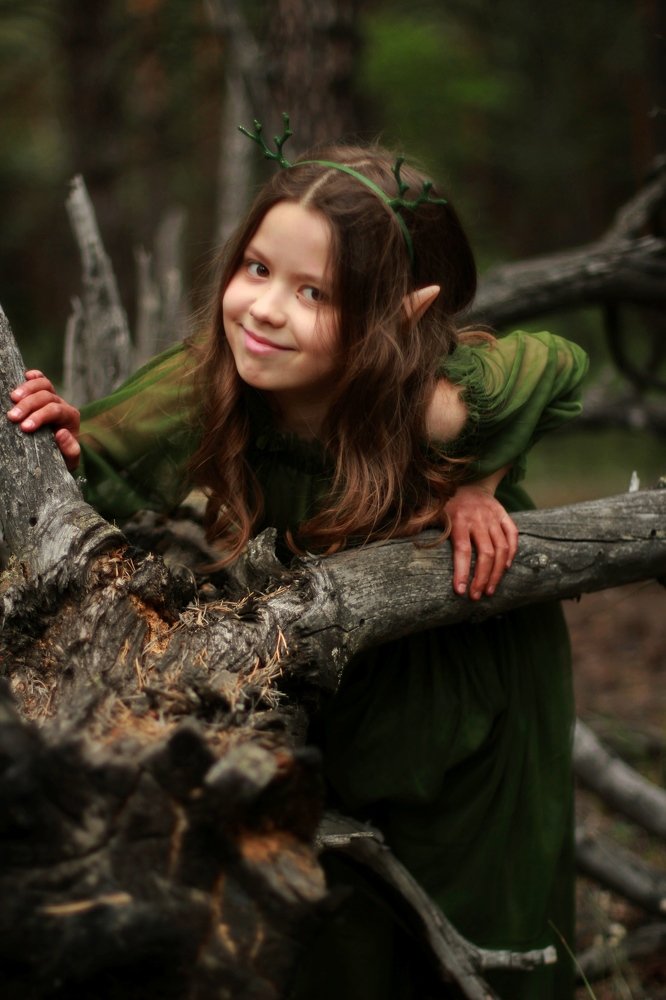 Хитрый Эльф