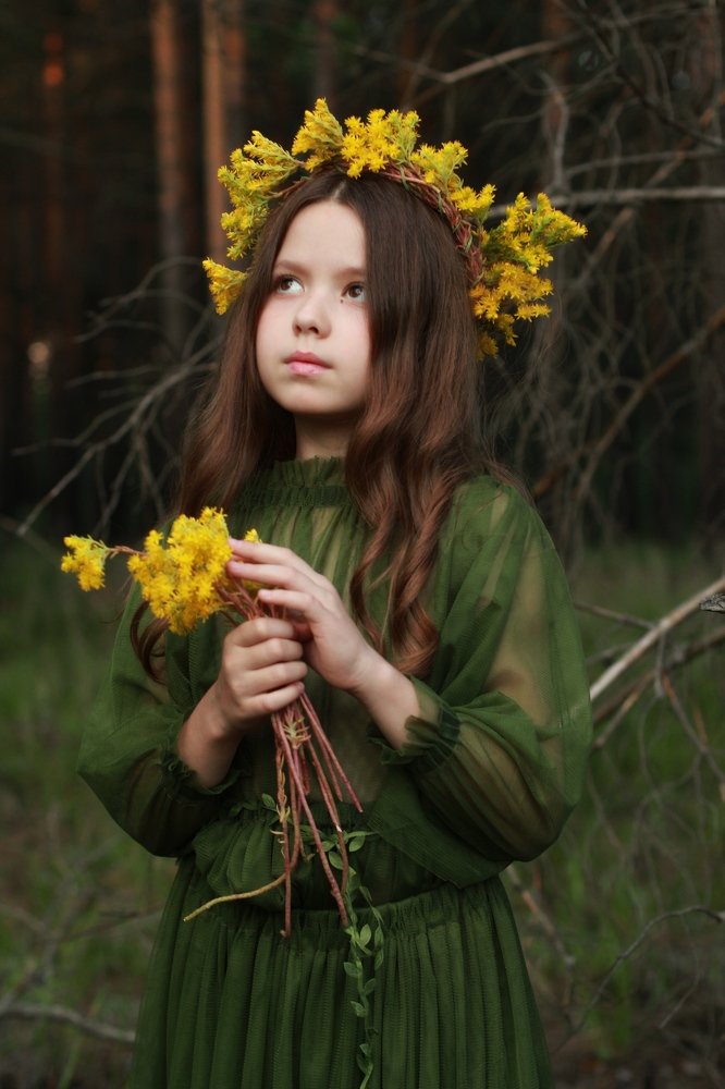 Эльфийская история