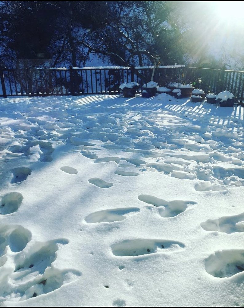 Photograph by Karin Celosse