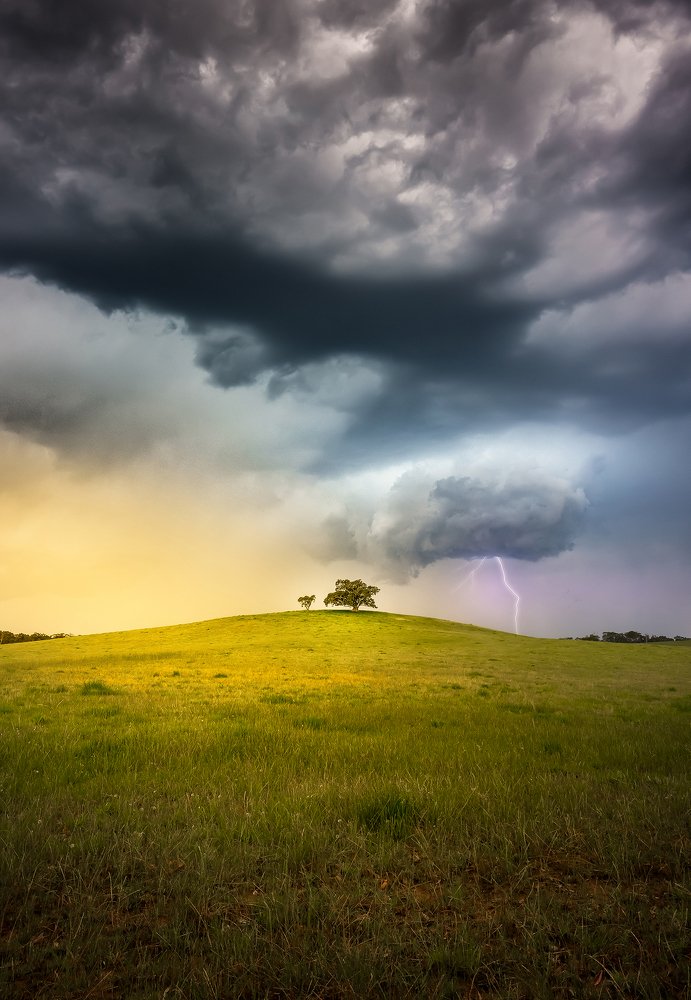 Photograph by Louise Richards