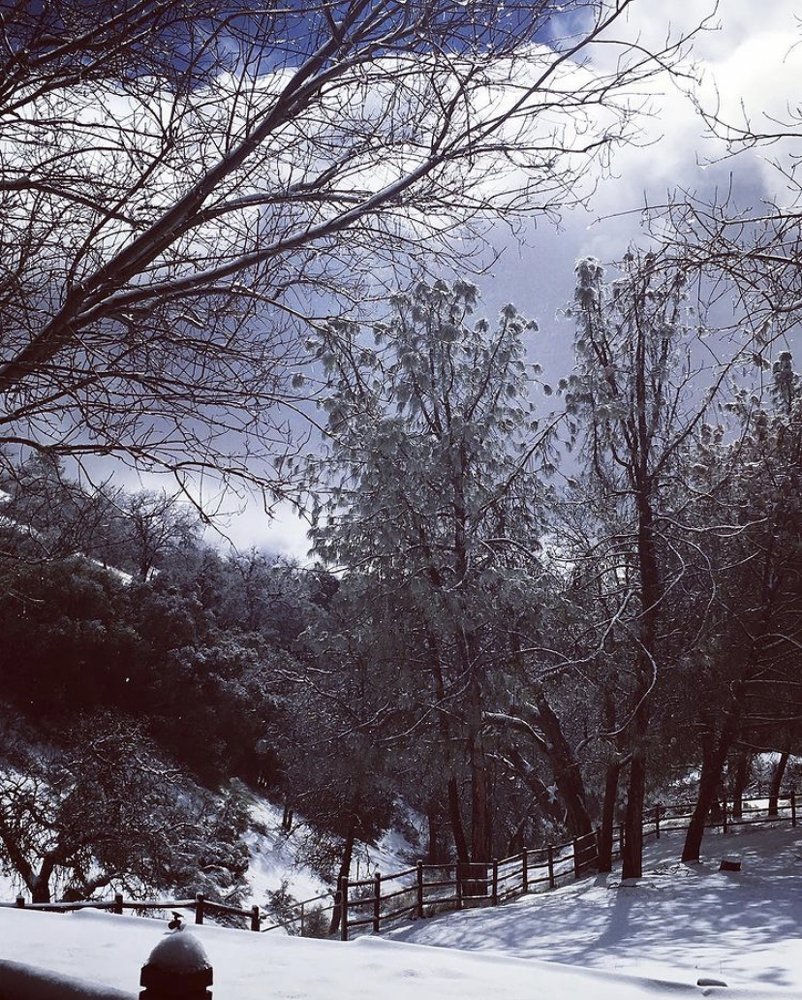 Photograph by Karin Celosse