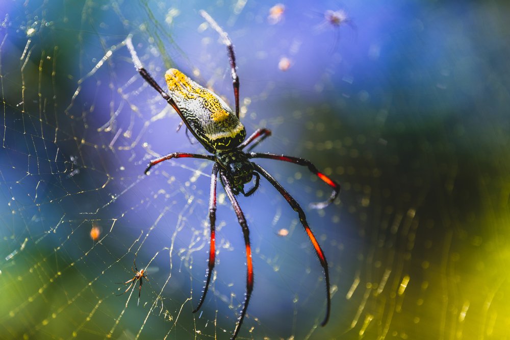 Photograph by Дмитрий Николаев