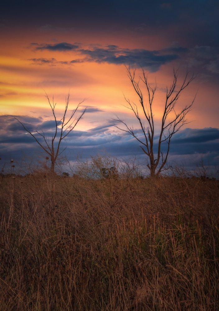 Photograph by Louise Richards