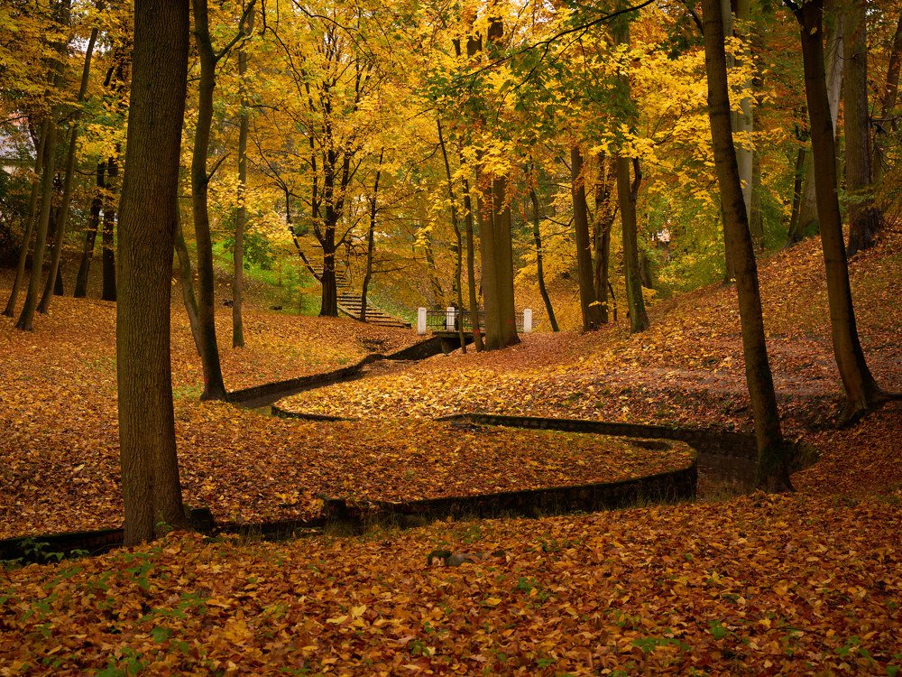 Photograph by Владимир Чернышов