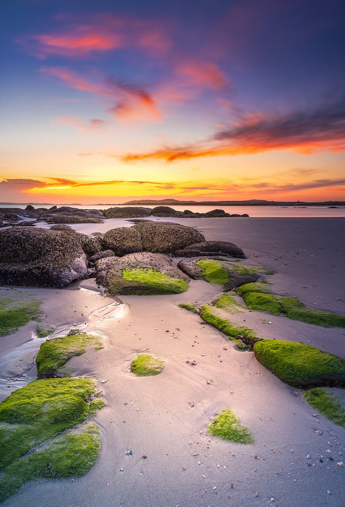 Photograph by Louise Richards