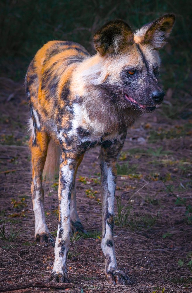 Photograph by Louise Richards