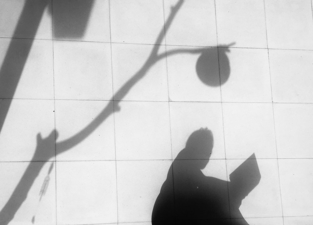 Photograph by Bhavana Sivayokan