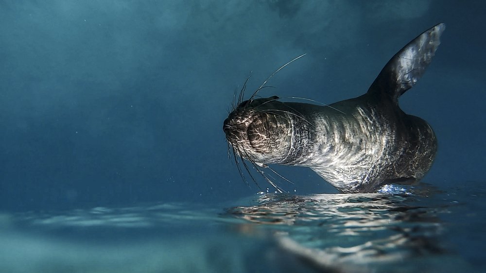 Touching the surface