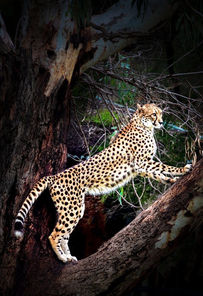 Photograph by Louise Richards