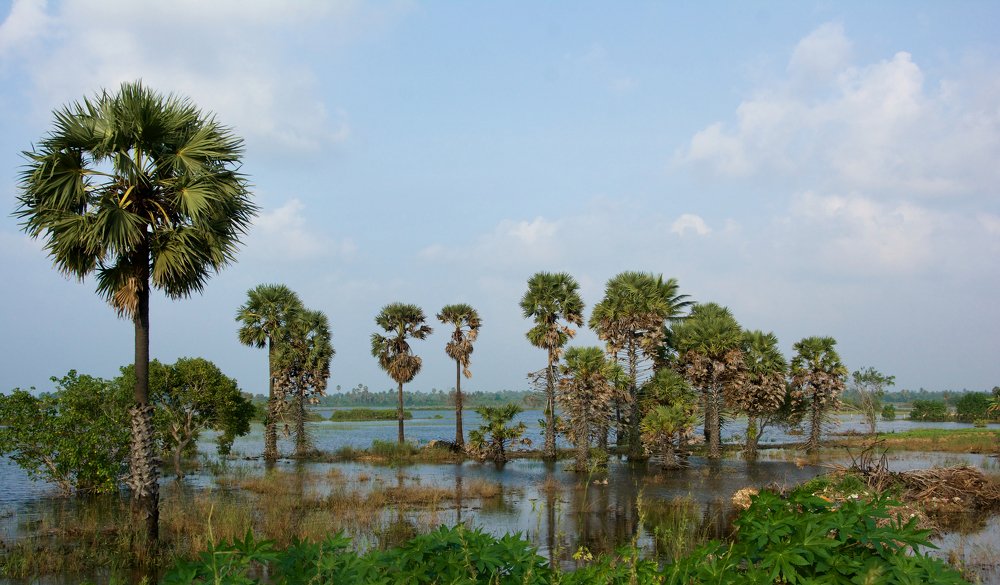 Photograph by Bhavana Sivayokan