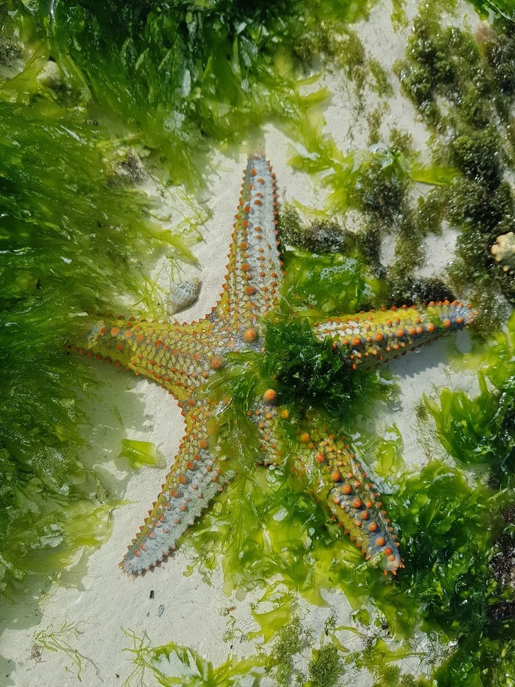 Photograph by Екатерина Вивюрская