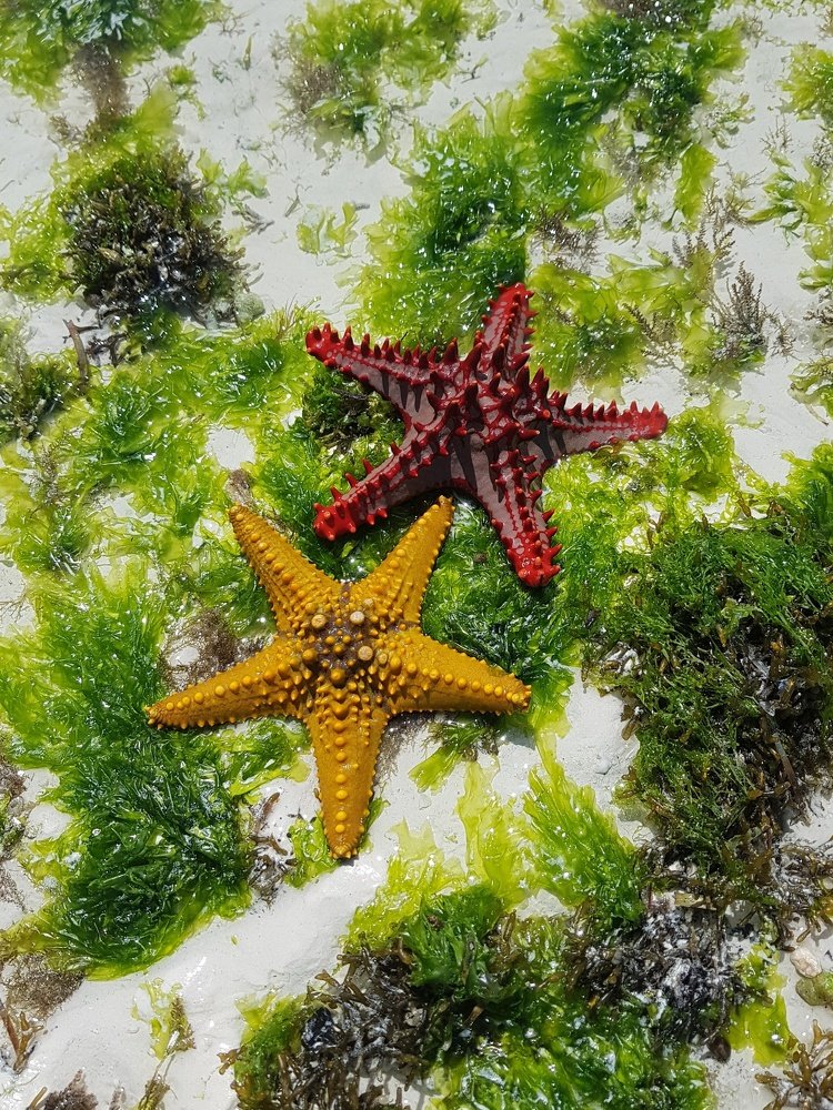 Photograph by Екатерина Вивюрская