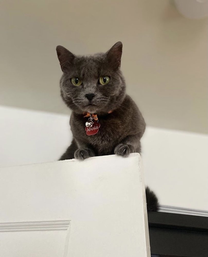 Photograph by Karin Celosse