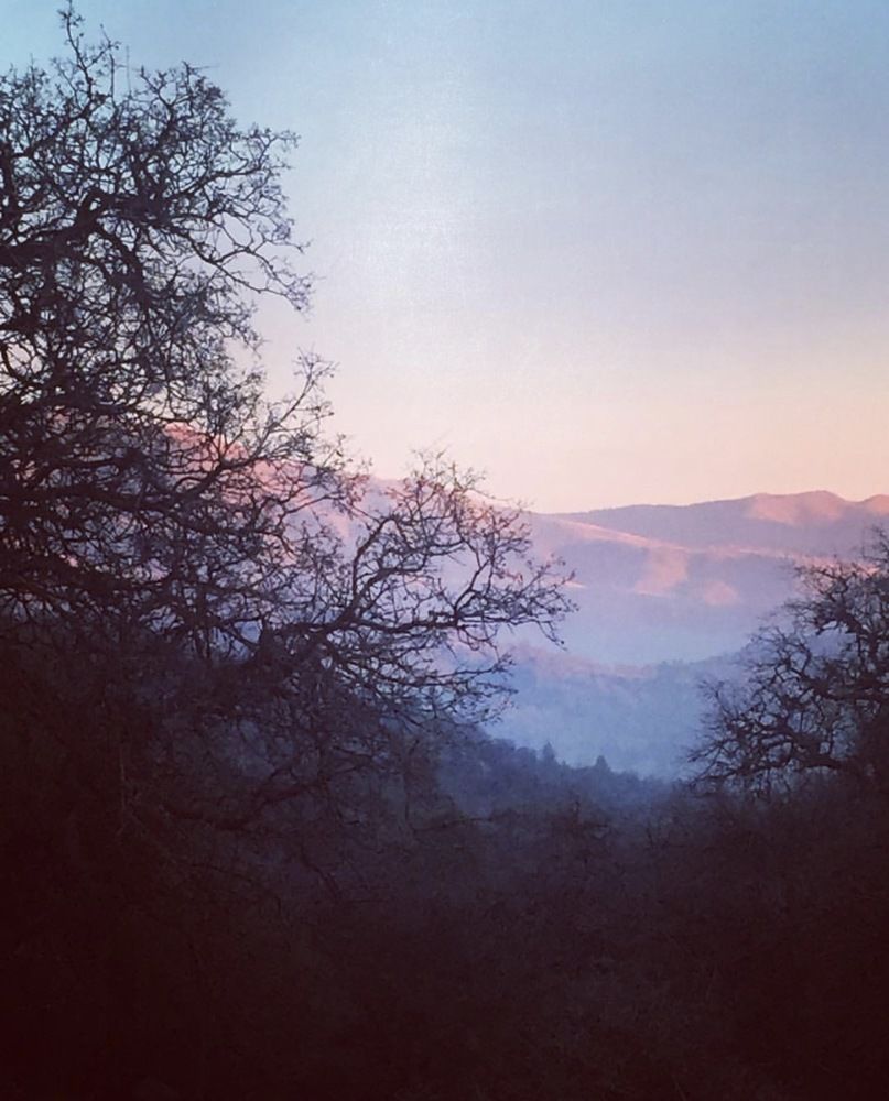 Photograph by Karin Celosse