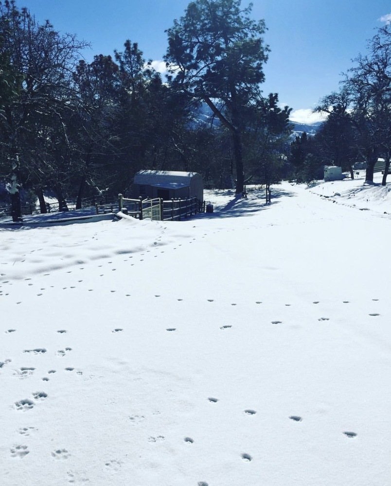 Photograph by Karin Celosse