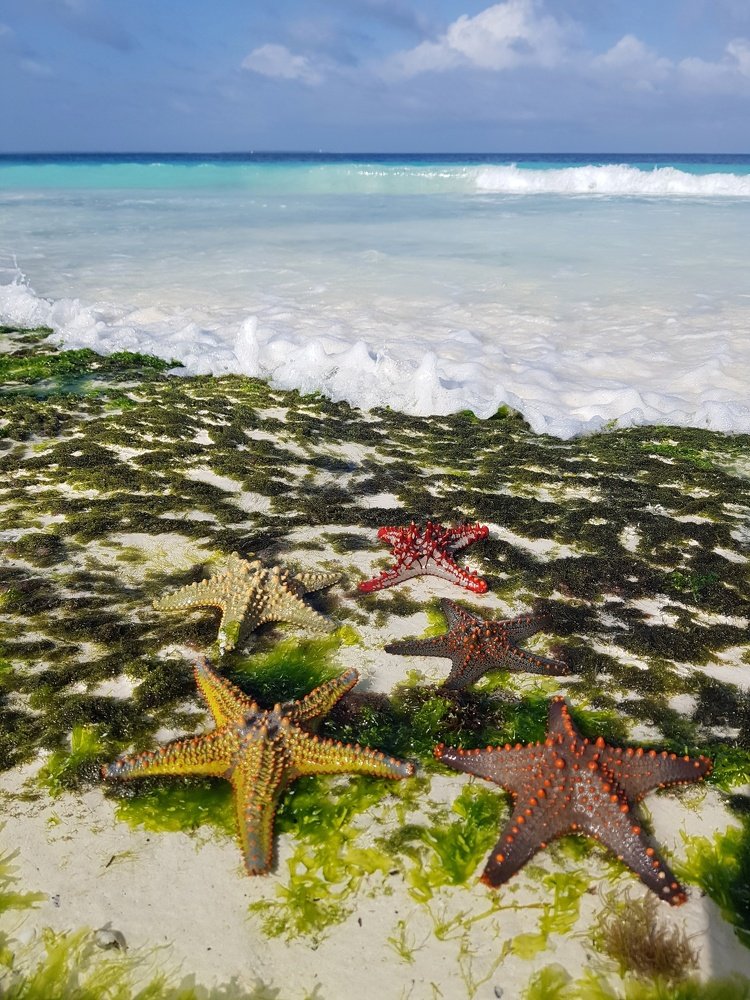 Photograph by Екатерина Вивюрская