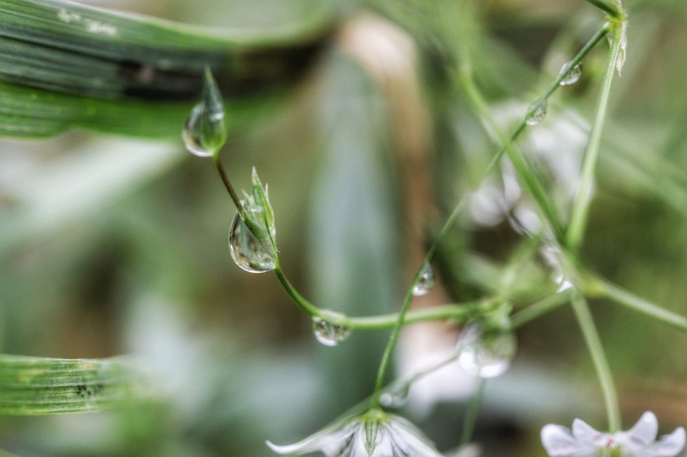 Photograph by Алексей Турсунов