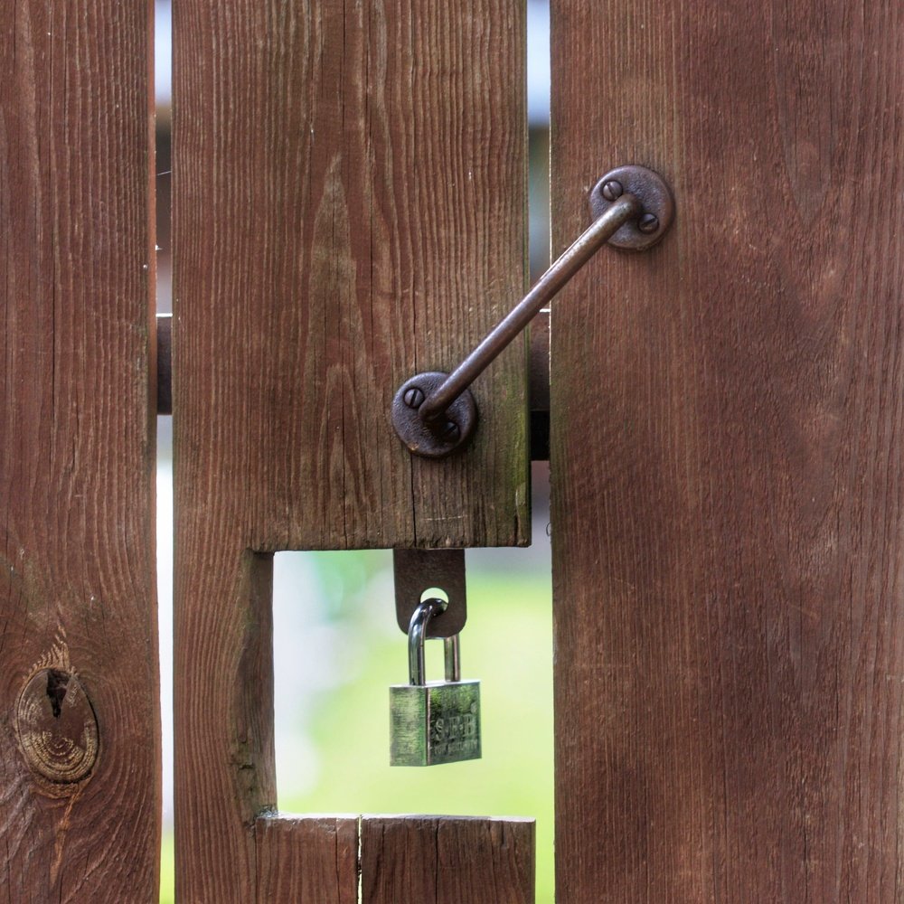 Photograph by Алексей Турсунов