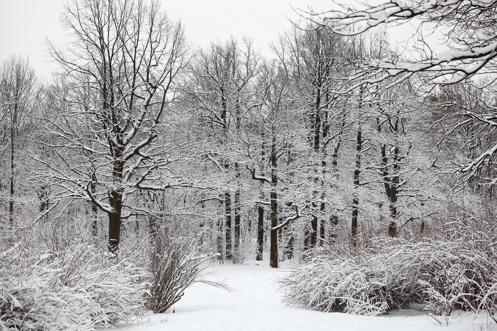 Photograph by Константин Лагоденко