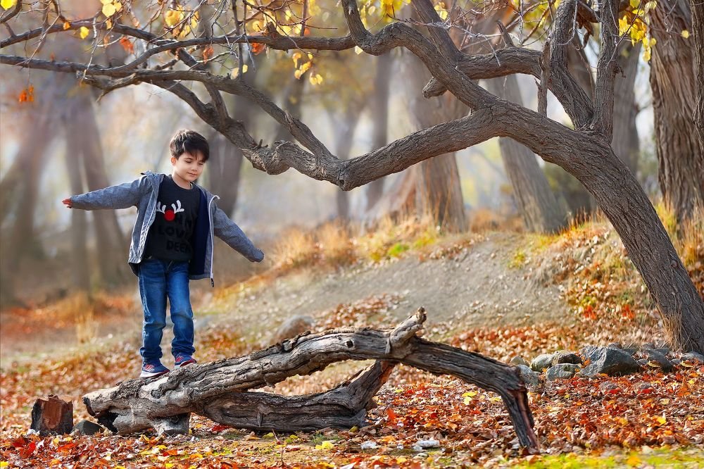 Photograph by mohsen mikaeili