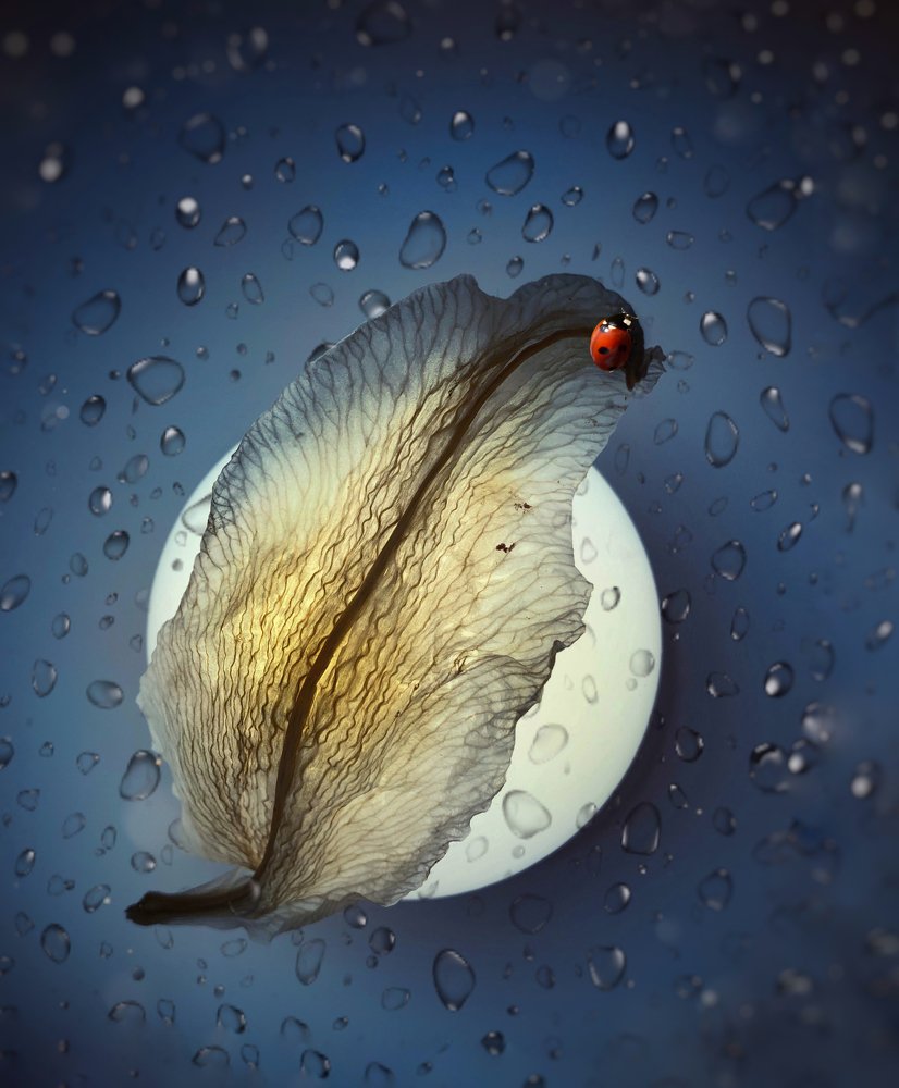 Photograph by Валентина Старикова