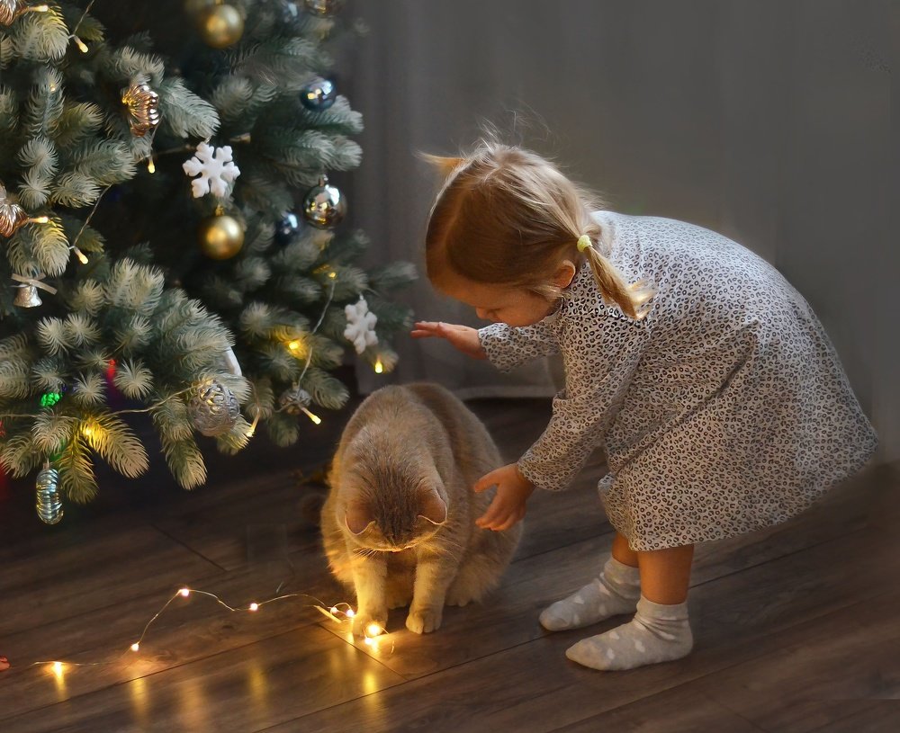 Photograph by Оксана Румянцева