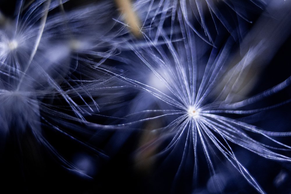 Photograph by Надежда Богачкина